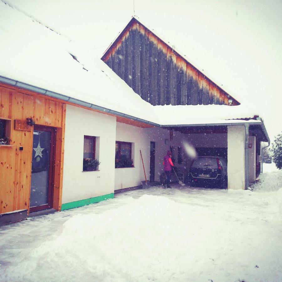 Vidiecky apartmán Kubo Pavčina Lehota Exteriér fotografie